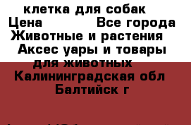 клетка для собак  › Цена ­ 3 700 - Все города Животные и растения » Аксесcуары и товары для животных   . Калининградская обл.,Балтийск г.
